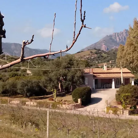 Foxi Murdegu Holiday home